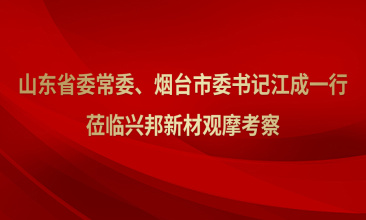 山东省委常委、烟台市委书记江成一行莅临兴邦新材观摩考察