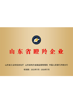 荣誉资质